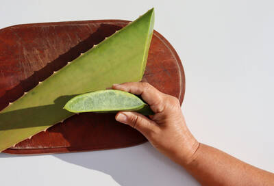 Mulher conhecendo os beneficios da aloe vera para a pele.