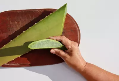 Mulher conhecendo os beneficios da aloe vera para a pele.