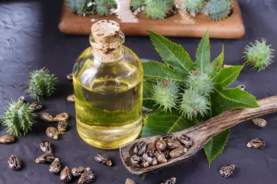 Frasco de oleo de ricino, um oleo vegetal rico em acidos graxos que pode ser benefico para a pele e cabelos.