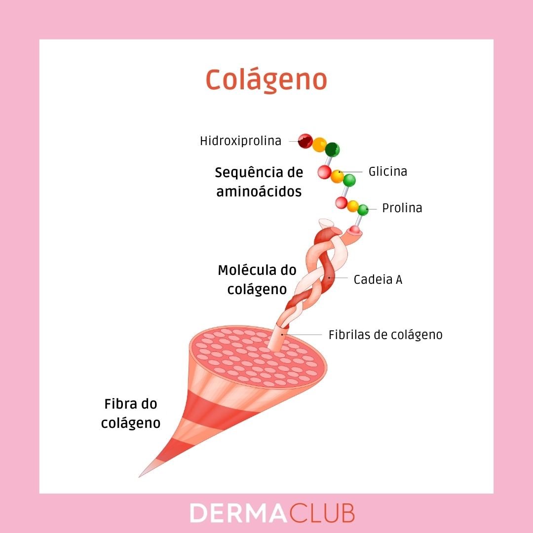Infográfico sobre a estrutura do colágeno
